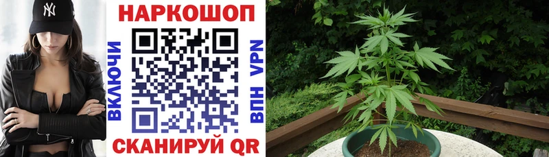 Купить закладку Амфетамин  МАРИХУАНА  Codein  Меф мяу мяу  ГАШ  СК  Cocaine  Фролово