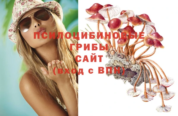 СК Заволжье